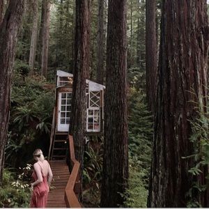 Orange, silk, slip dress